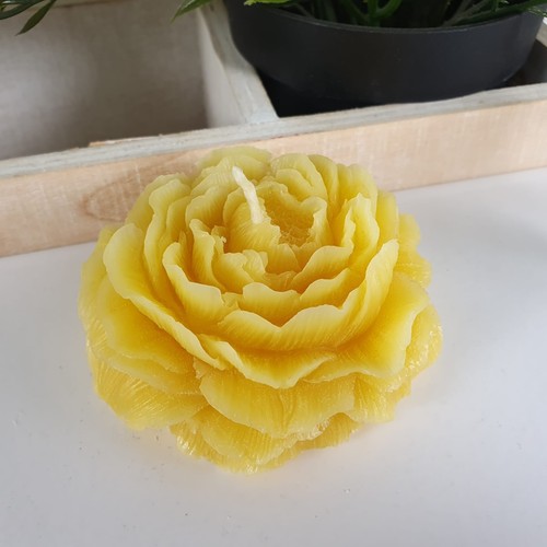 Bienenwachskerze rosenkerze - bienenwachskerze,